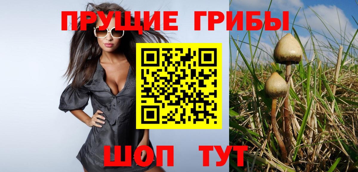 Верхняя Салда  как найти закладки  Вход с VPN  Псилоцибиновые грибы MAGIC MUSHROOMS 